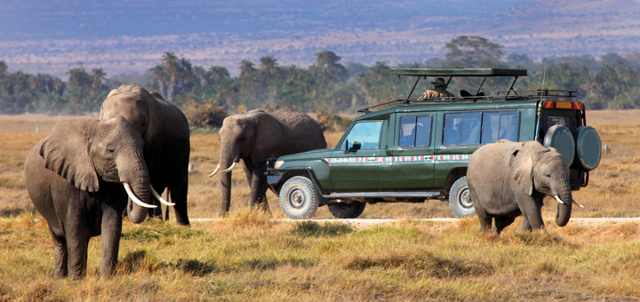 Safari in Afrika