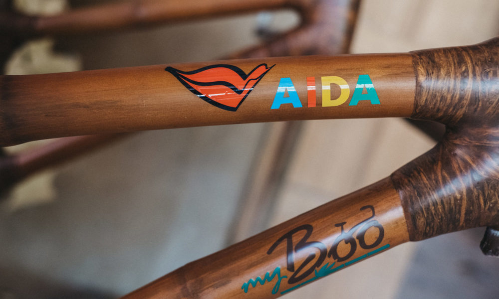 AIDA Bambus Bike