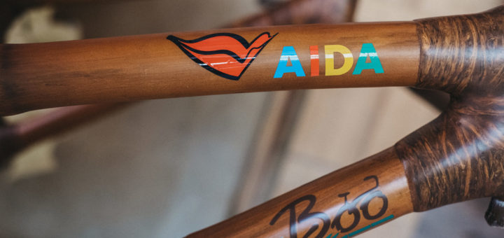 AIDA Bambus Bike