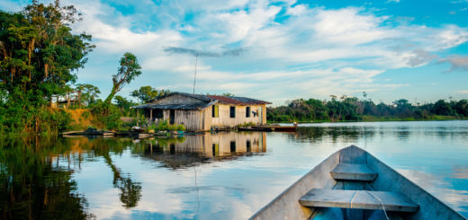 Amazonas, Brasilien