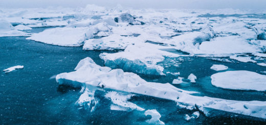 Arktis Kreuzfahrt Eisberge