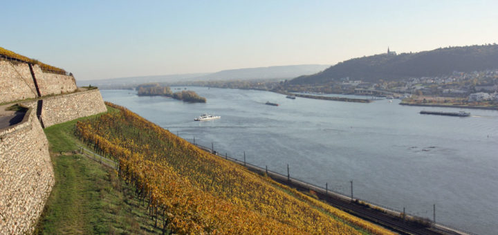 Weinberge am Rhein in Rüdesheim