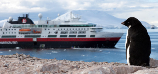 Antarktis mit Hurtigruten