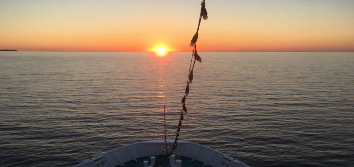 Sonnenuntergang auf der MS Deutschland. Foto: Martin Schuster / Kreuzfahrtpiraten