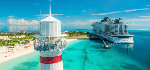 MSC Seashore im Ocean Cay MSC Marine Reserve