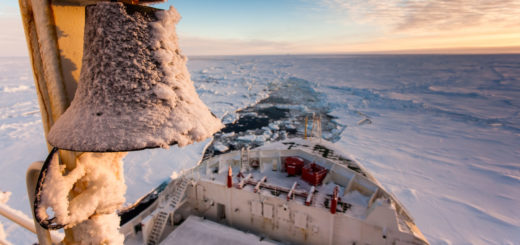 Polastern auf MOSAiC Expedition in der Arktis