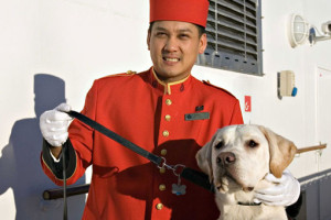 Hunde auf der Queen Mary 2. Foto: Cunard Line