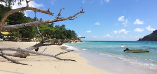 Praslin auf den Seychellen