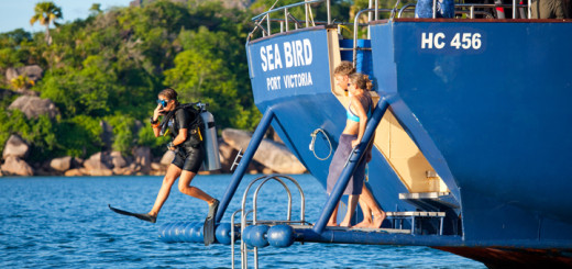 Work and Travel bei Silhouette Cruises im Paradies auf den Seychellen. Foto: Silhouette Cruises